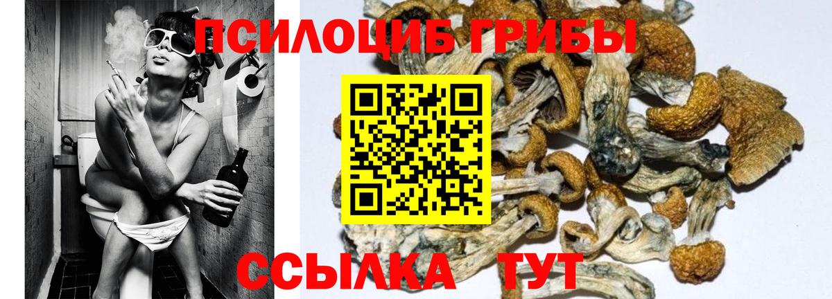 Псилоцибиновые грибы Magic Shrooms  Псилоцибиновые грибы Cubensis  Верхняя Салда  Вход с VPN 